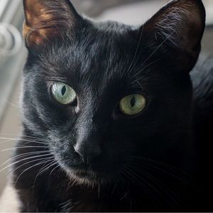 Meet your Posher, Clarisa